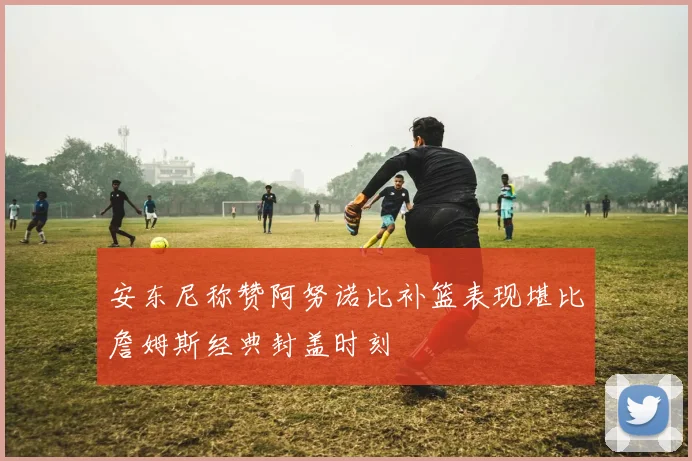 安东尼称赞阿努诺比补篮表现堪比詹姆斯经典封盖时刻